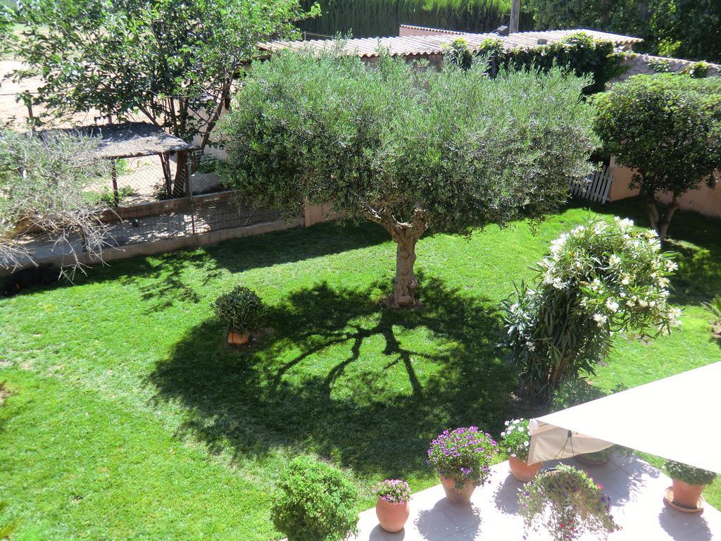Casa Rural Hipica Mas Paguina L'Estartit Buitenkant foto