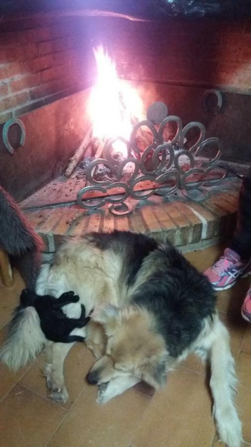 Casa Rural Hipica Mas Paguina L'Estartit Buitenkant foto