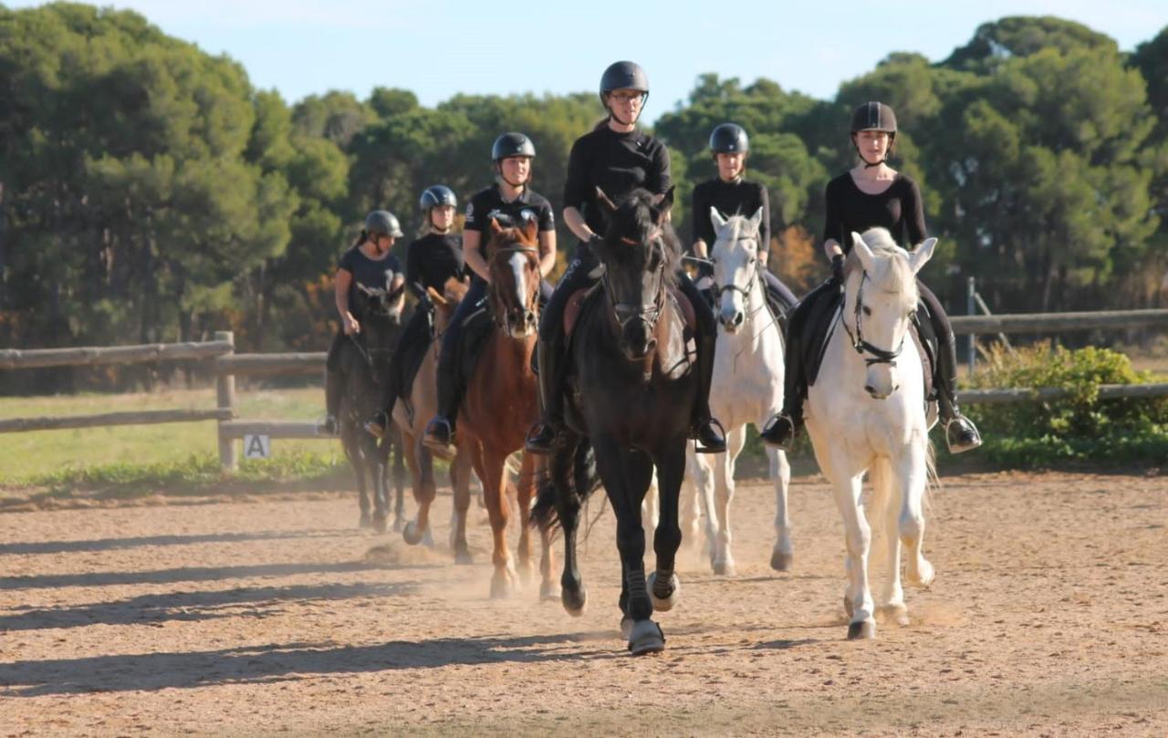 Casa Rural Hipica Mas Paguina L'Estartit Buitenkant foto